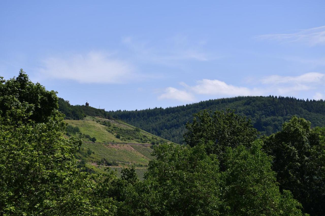 Schorn³ Appartements Zell an der Mosel Exteriör bild
